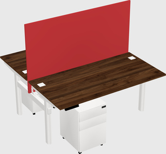 Shared electric desk