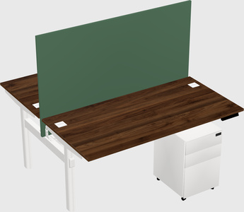 Shared electric desk