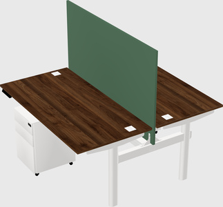 Shared electric desk