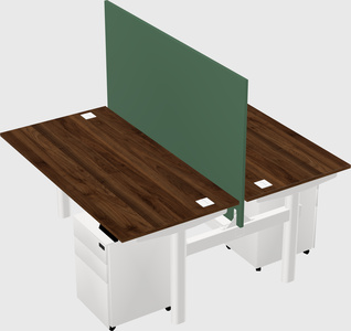 Shared electric desk