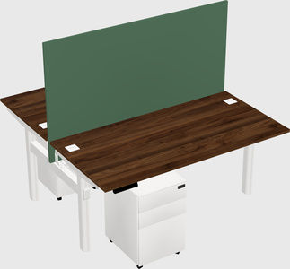 Shared electric desk