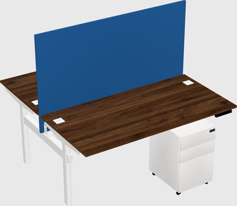 Shared electric desk