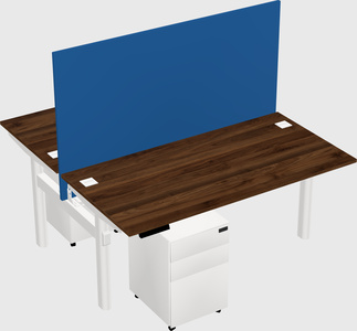 Shared electric desk