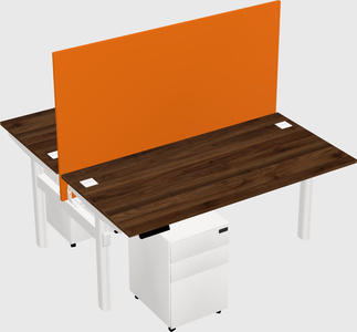 Shared electric desk