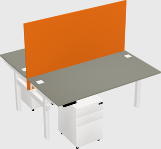 Shared electric desk