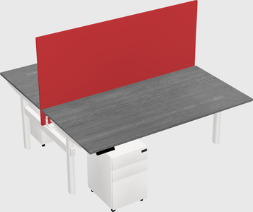 Shared electric desk
