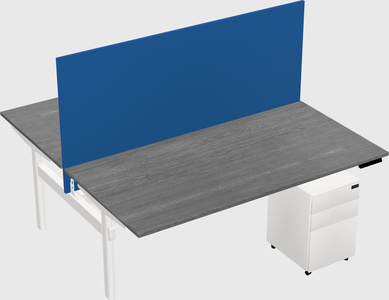 Shared electric desk