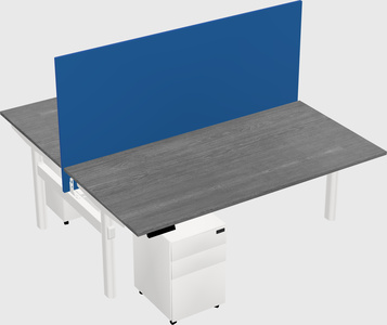 Shared electric desk