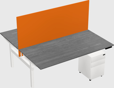 Shared electric desk