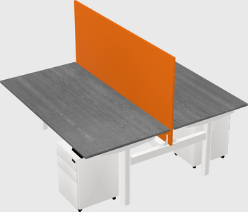 Shared electric desk