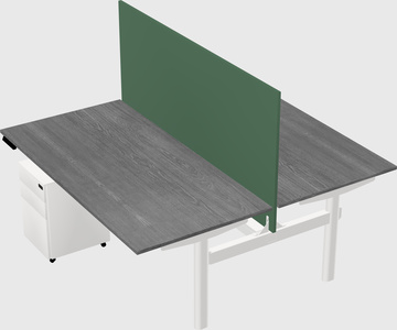 Shared electric desk