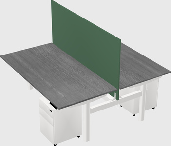 Shared electric desk