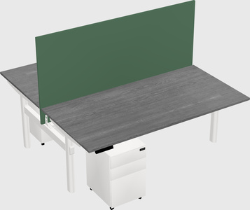 Shared electric desk