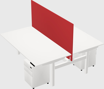 Shared electric desk