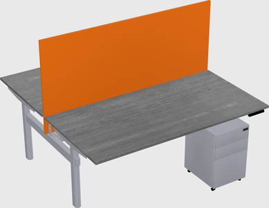 Shared electric desk