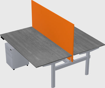 Shared electric desk