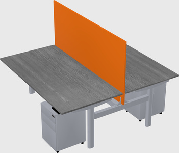 Shared electric desk