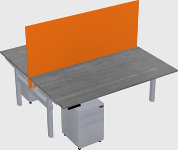Shared electric desk