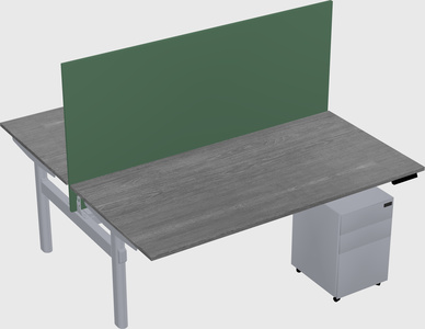 Shared electric desk