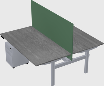Shared electric desk