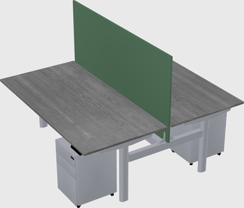 Shared electric desk