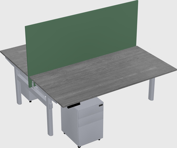 Shared electric desk