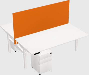 Shared electric desk
