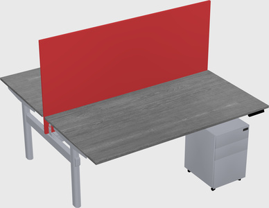 Shared electric desk