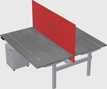 Shared electric desk