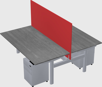 Shared electric desk