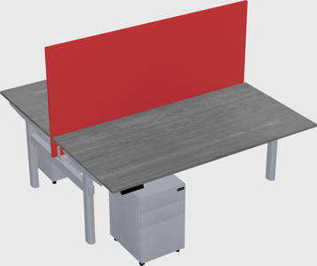 Shared electric desk