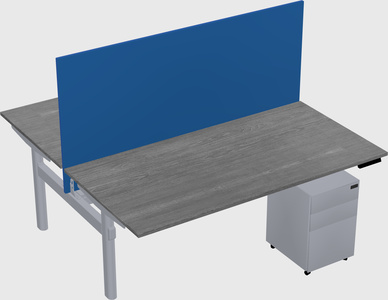 Shared electric desk