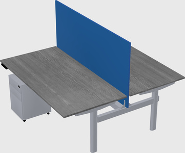Shared electric desk