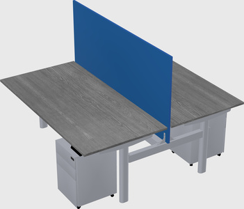 Shared electric desk