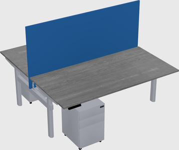 Shared electric desk