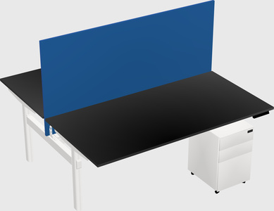 Shared electric desk