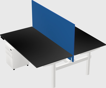 Shared electric desk