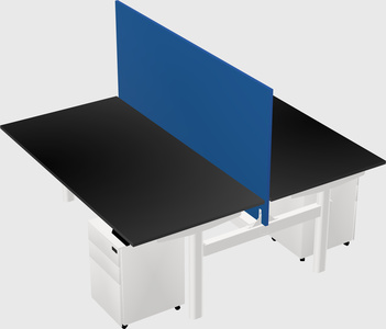 Shared electric desk