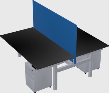 Shared electric desk