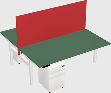Shared electric desk