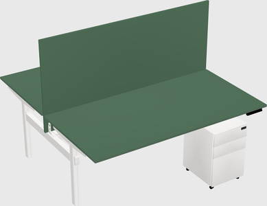 Shared electric desk