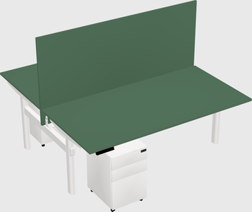 Shared electric desk