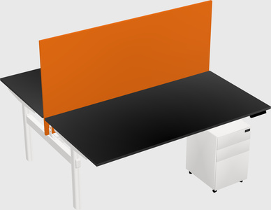 Shared electric desk