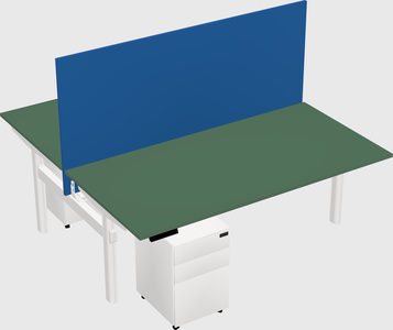 Shared electric desk