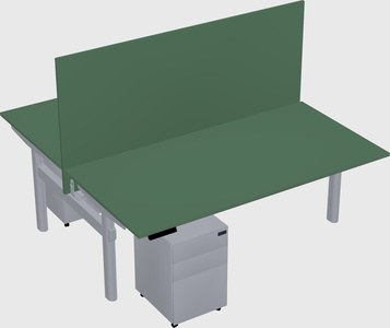 Shared electric desk
