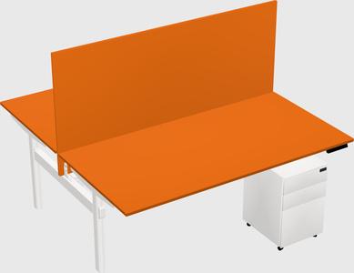 Shared electric desk