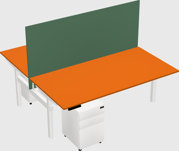 Shared electric desk