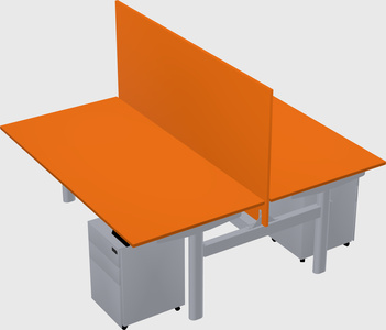 Shared electric desk