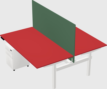 Shared electric desk