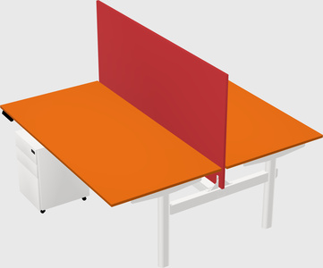 Shared electric desk